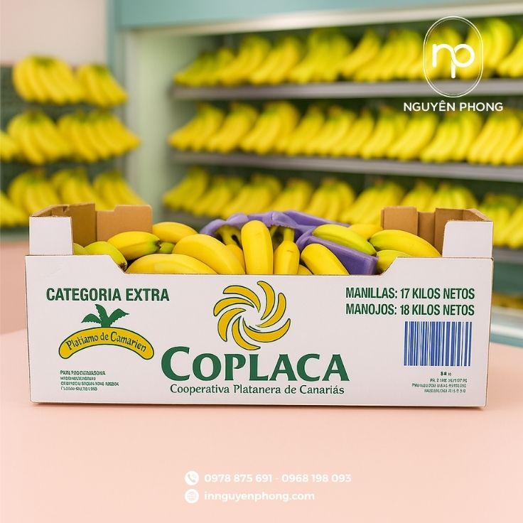 Mẫu thùng carton đựng chuối tiêu chuẩn thu hút khách hàng